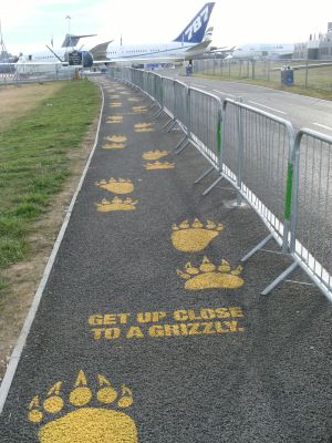 Road Marking Removal